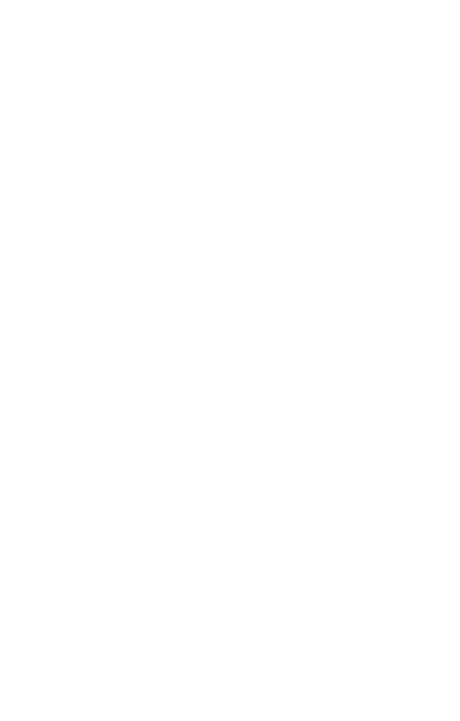 Anvil Aerospace Logo